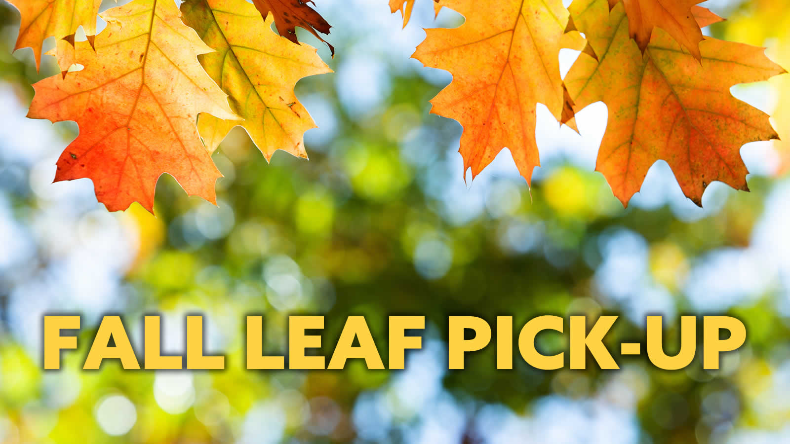 Fall_Leaf_Pickup.jpg